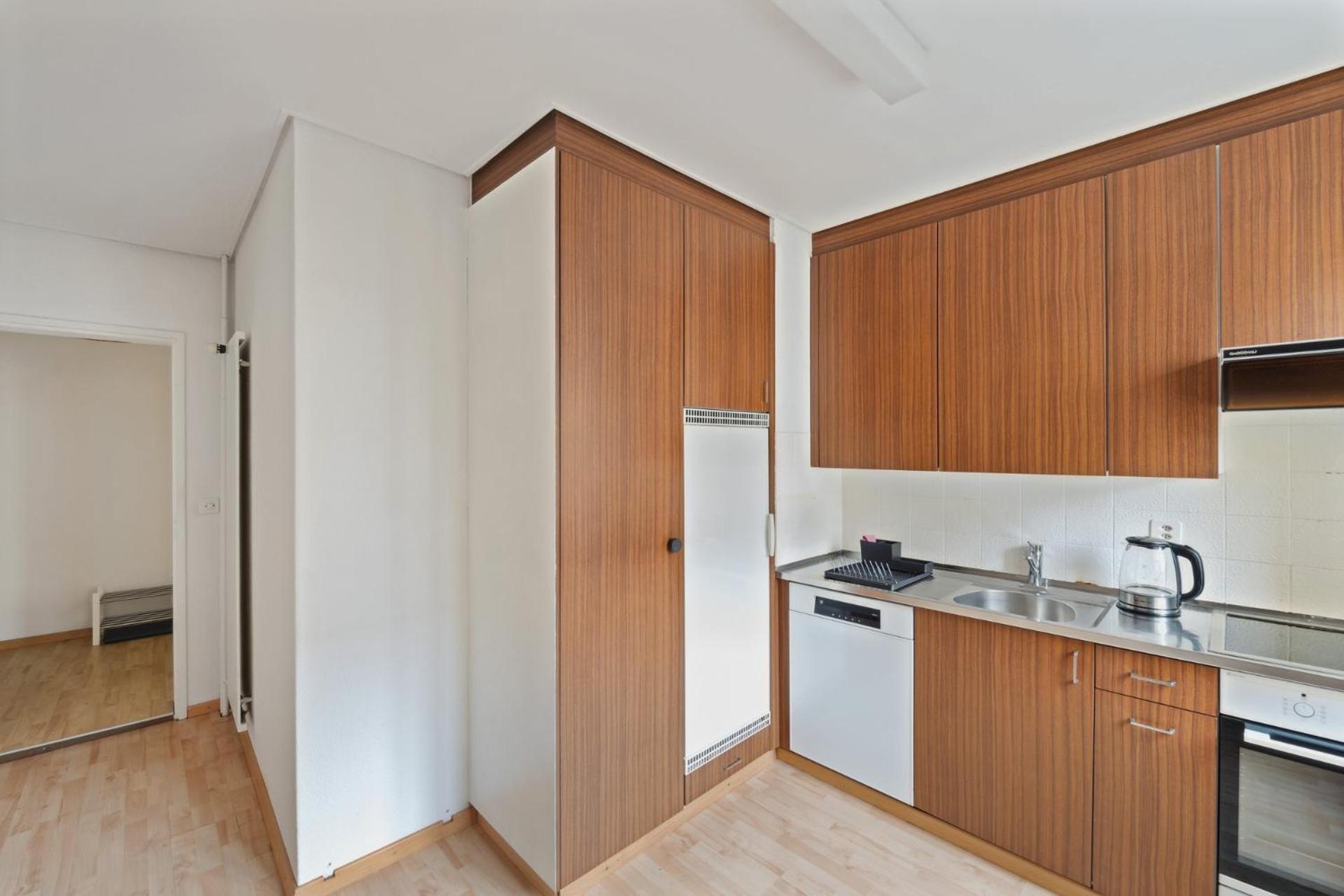 Spacious Apartments In The Heart Of Zurich Zltwg66 Екстер'єр фото