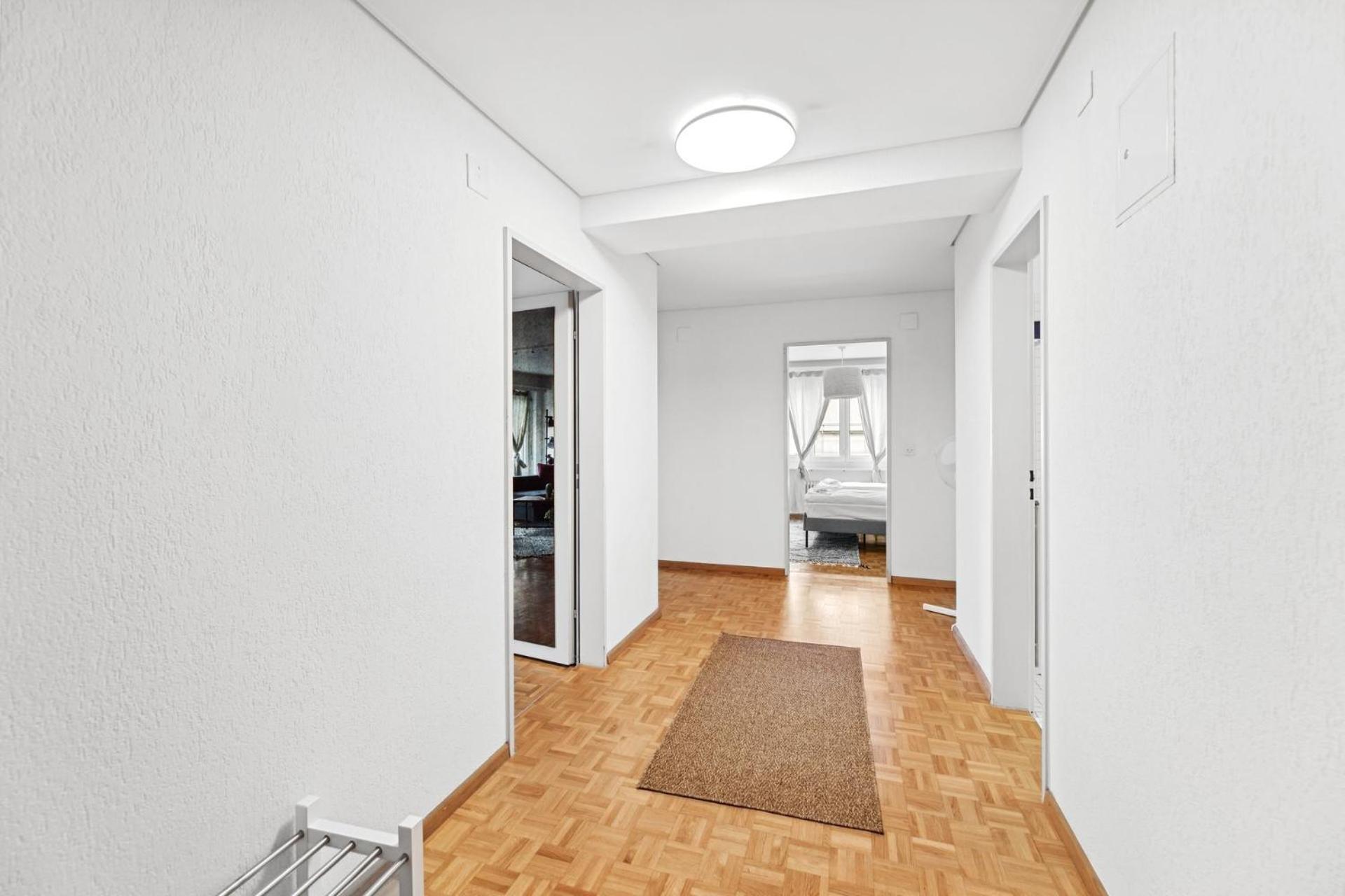 Spacious Apartments In The Heart Of Zurich Zltwg66 Екстер'єр фото