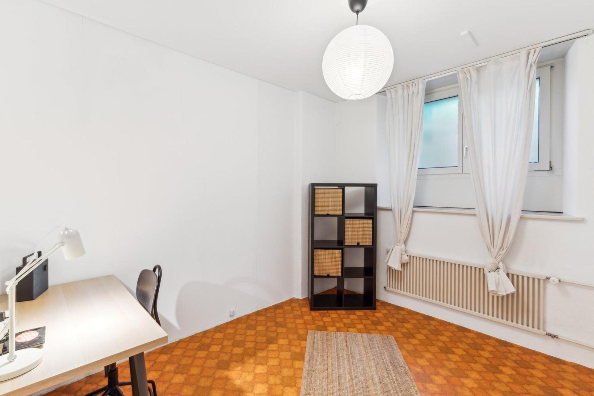 Spacious Apartments In The Heart Of Zurich Zltwg66 Екстер'єр фото