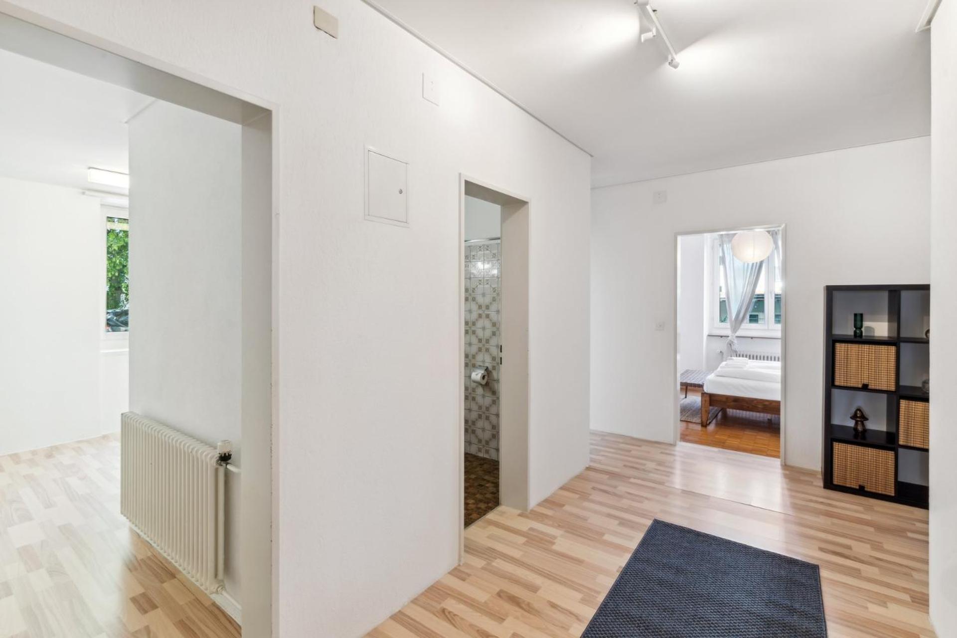 Spacious Apartments In The Heart Of Zurich Zltwg66 Екстер'єр фото