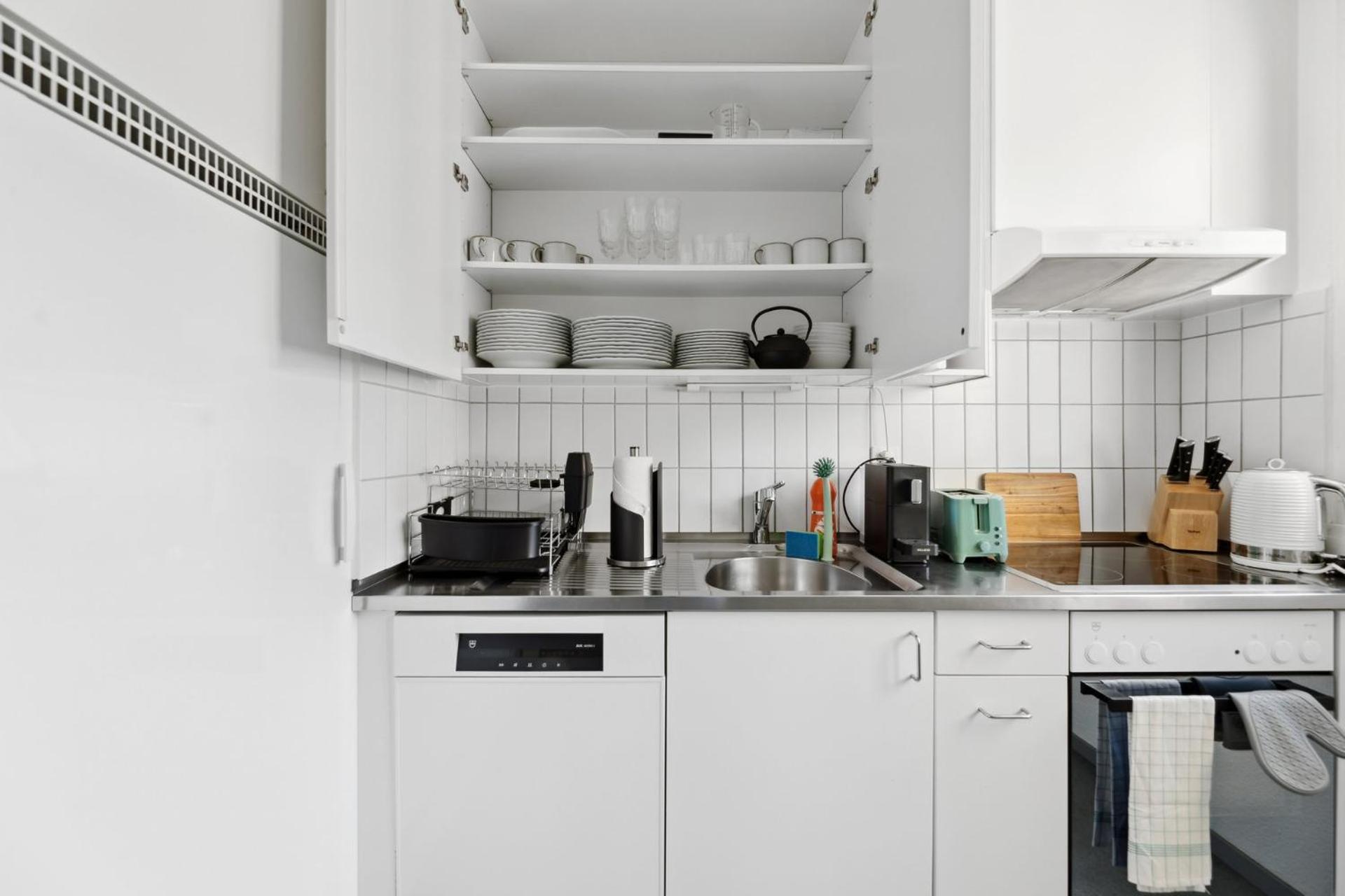 Spacious Apartments In The Heart Of Zurich Zltwg66 Екстер'єр фото